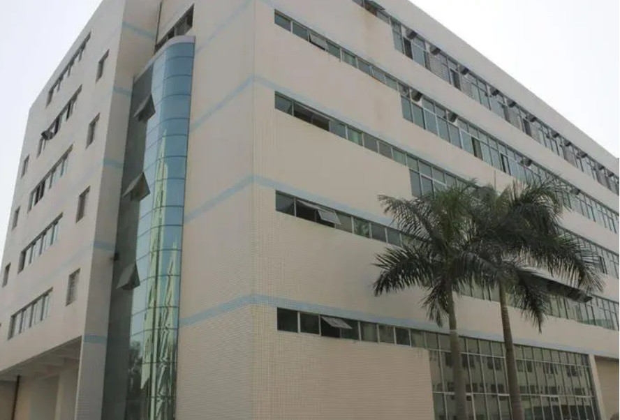 our company our company